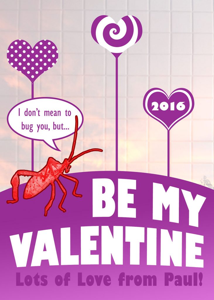 Valentine Card 2016