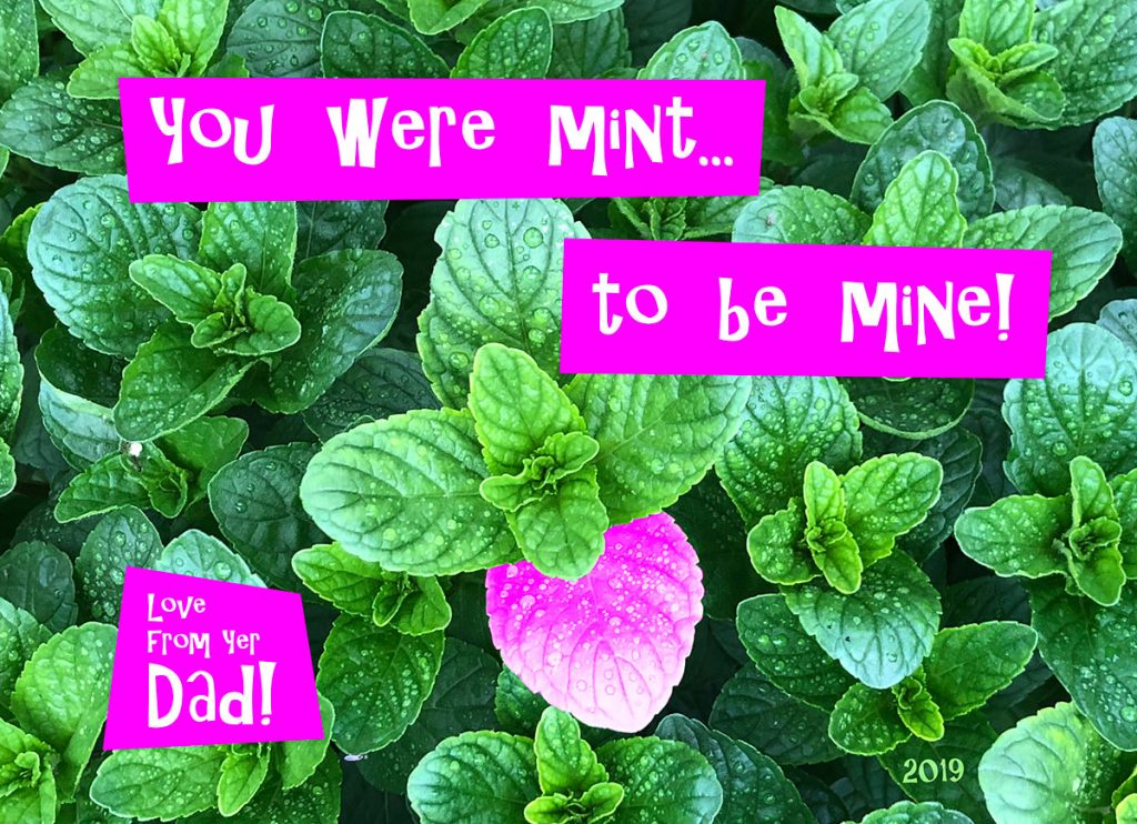 Valentine Card 2019
